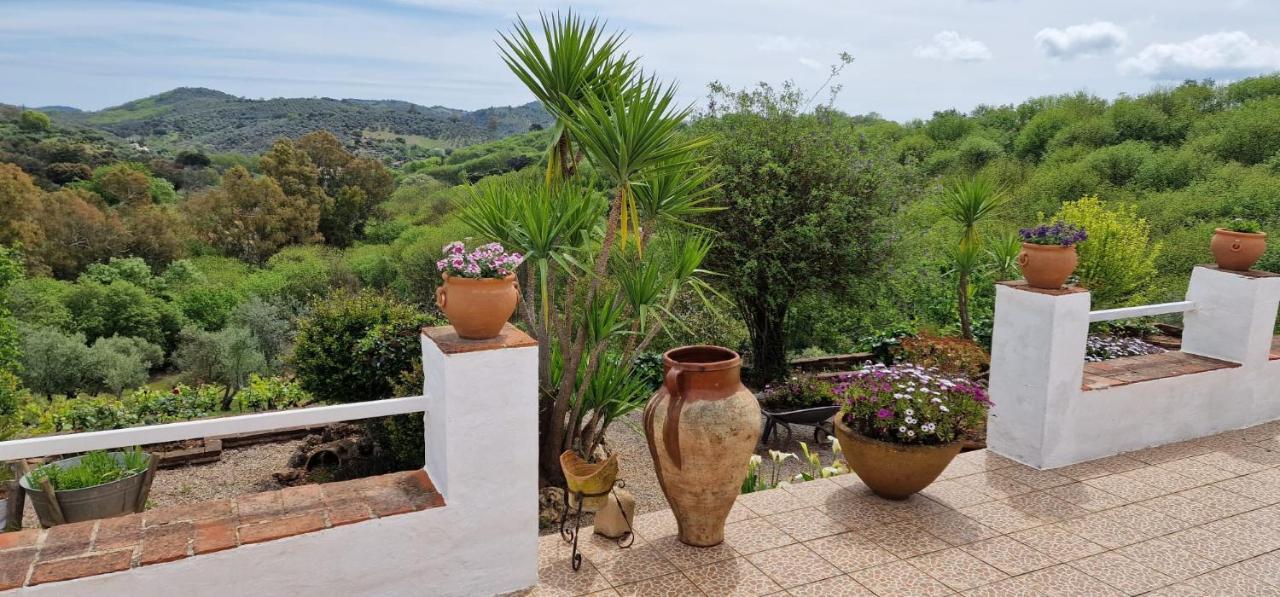 Villa Botero كونستانتينا المظهر الخارجي الصورة